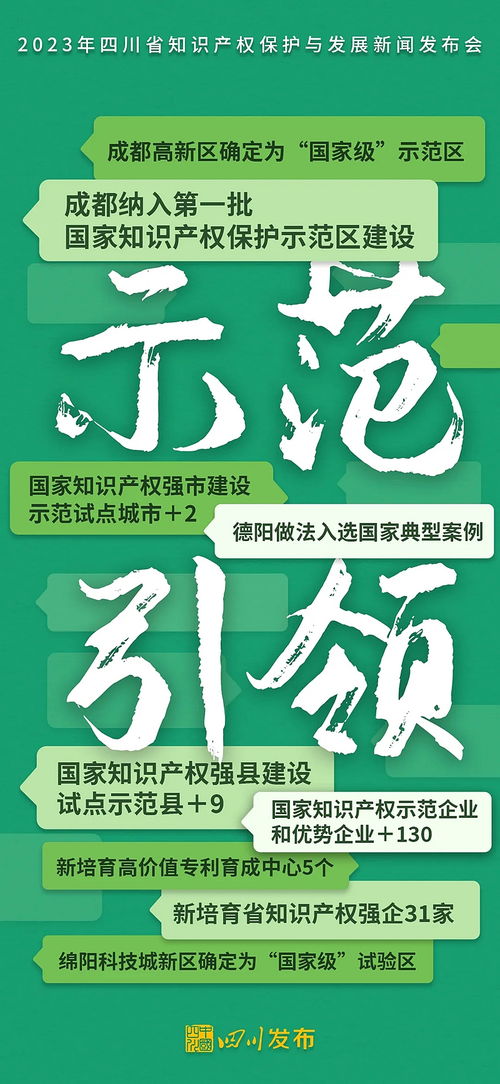 2023年四川省知識(shí)產(chǎn)權(quán)保護(hù)與發(fā)展 強(qiáng)化服務(wù)賦能創(chuàng)新，構(gòu)建高質(zhì)量發(fā)展新格局