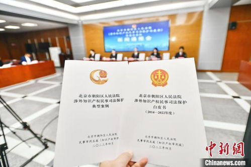 北京朝陽法院發(fā)布涉外知識(shí)產(chǎn)權(quán)民事司法保護(hù)白皮書 提升服務(wù)能力，優(yōu)化營商環(huán)境